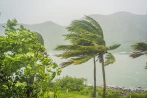 Hurricane