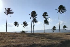 Hurricane