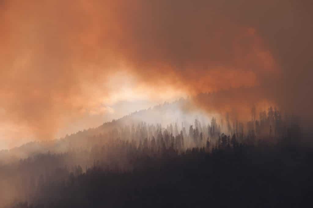 California garnet fire